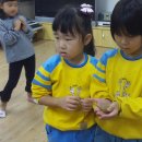 수암병설유치원 이미지