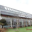 뮌스터담 이미지