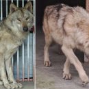 (주)즐거운세상 이미지