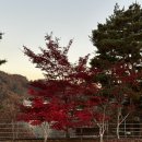 GS칼텍스인재개발원은 주말에 꼭 가세요.. 대식당 호반라운지 후기