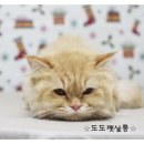 담비살롱 - 광진구 | 담비살롱