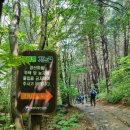 곰배령주차장 이미지