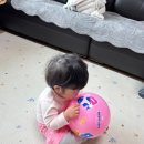 투다리효자3점 이미지