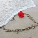 무지개빛사랑 이미지