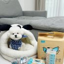 위랩 네이버블로그