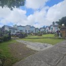 라이온힐펜션 이미지