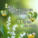 삼소로 이미지