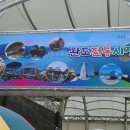 완도둥이맘