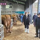 영광축산업협동조합 이미지