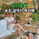 펠리체갤러리카페 | 오디오씨 속초설악산뷰카페 설악산근처 디저트카페 검은콩푸딩 말렌카허니케이크 추천