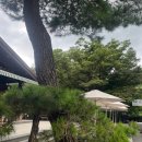 힐링(만인산) | 대전 힐링숙소 만인산자연휴양림 봉이호떡 웨이팅 솔직후기