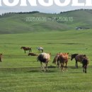 에이스투어여행사 - 오산시 수목원로 610 | 에이스투어여행사