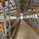 논산목장 이미지