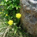 나드리까페 이미지