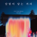 달빛서점 이미지