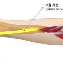부영한의원 이미지
