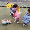 정원숲어린이집 이미지