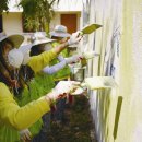 드림 무브 이미지