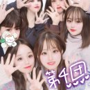 [2025한국재팬리포터 방일단] Ep.02 일본에서 직접듣는 외무성강연 그리고 시라카와고❄️🤍