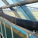 오가네 하우스 이미지