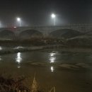 금현농장 이미지