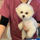 달링동물병원 이미지