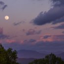 열매한의원 이미지