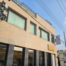 목포펜션 | 목포펜션 애견동반 가능 💛 주토피아 목포 독채펜션 솔직후기