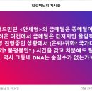 ＜안세영＞의 금메달은 똥메달이다 이미지