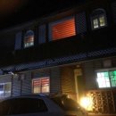 숲속의 하얀별 이미지