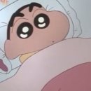 편백나무펜션 이미지