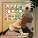 와그리그 이미지