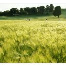 과학도서관 이미지