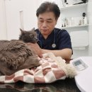 안산동물병원 이미지