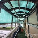 신흥육교