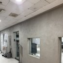 대한카클리닉 | 정자역미용실 비롬헤어 클리닉 내돈내산 후기 / 세은디자이너님