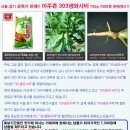 와사비참치일식 이미지