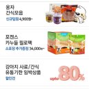 도그팡 이미지