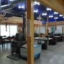 대머리장어 이미지