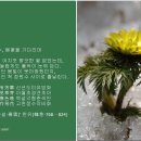 漢詩 한 수, 당나라 한유(韓愈)의 &#39;봄꽃을 기다리며&#39; 이미지