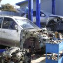 차탄현대카독크 이미지