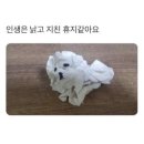 인형랜드 이미지