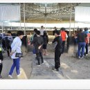 봉좌농장 이미지