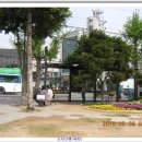 다올마트 | 나물산행(48차) 종자산 두릅순/다래순/우산나물을 찾아서(2010.05.09(일))
