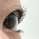 내곡동692 | 강릉 친절한 속눈썹펌 찐 맛집👀 | 미모든뷰티 후기