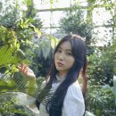 아리아즈 이미지