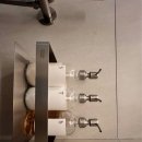 스테이 봄 이미지