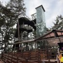 카페송림 | 장항스카이워크 브라운핸즈 송림동화 카페 방문 후기