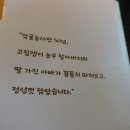 혼디가자 이미지
