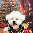 댕그랑댕 이미지